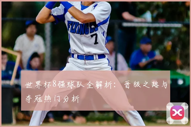 世界杯8强球队全解析：晋级之路与夺冠热门分析