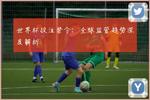 世界杯投注禁令：全球监管趋势深度解析