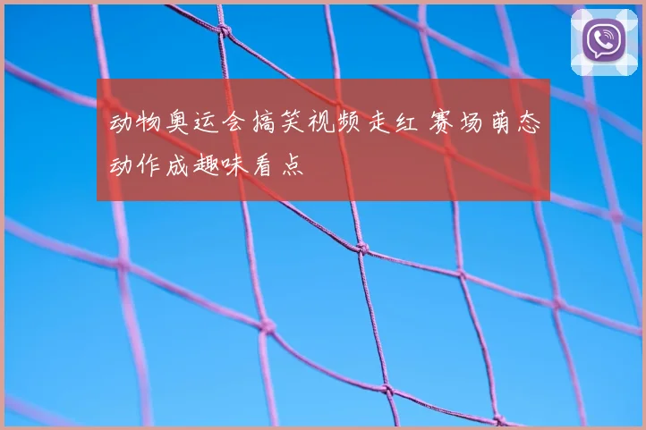 动物奥运会搞笑视频走红 赛场萌态动作成趣味看点