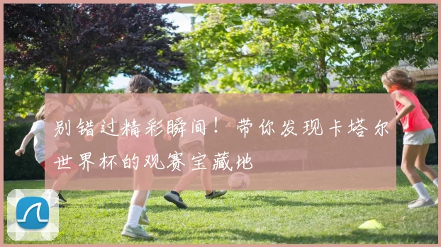 别错过精彩瞬间！带你发现卡塔尔世界杯的观赛宝藏地
