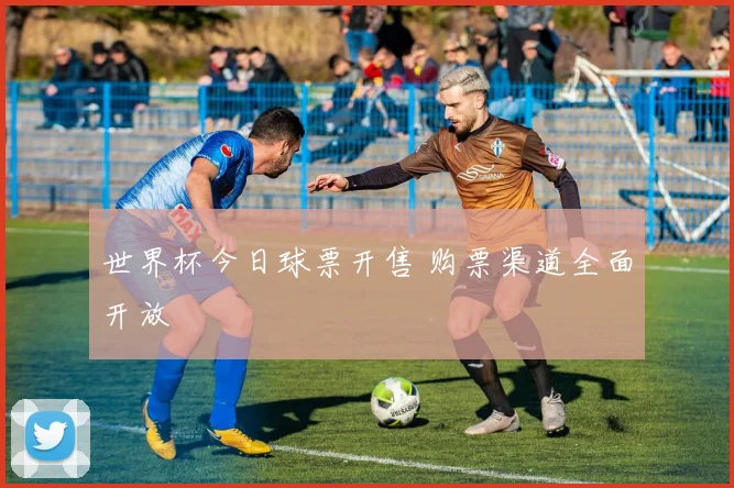 世界杯今日球票开售 购票渠道全面开放