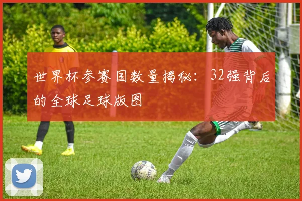 世界杯参赛国数量揭秘：32强背后的全球足球版图