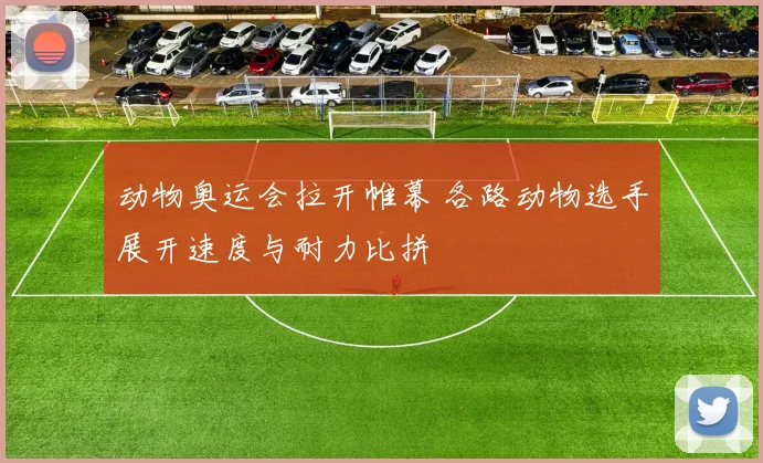 动物奥运会拉开帷幕 各路动物选手展开速度与耐力比拼