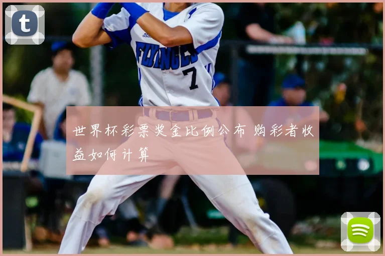 世界杯彩票奖金比例公布 购彩者收益如何计算