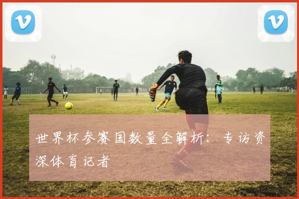 世界杯参赛国数量全解析：专访资深体育记者