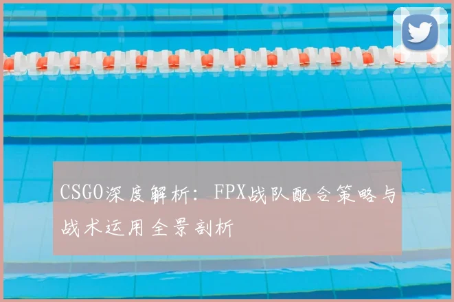 CSGO深度解析:FPX战队配合策略与战术运用全景剖析