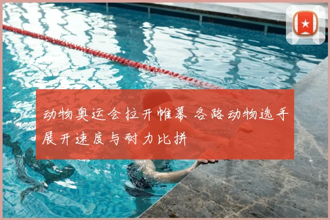 动物奥运会拉开帷幕 各路动物选手展开速度与耐力比拼