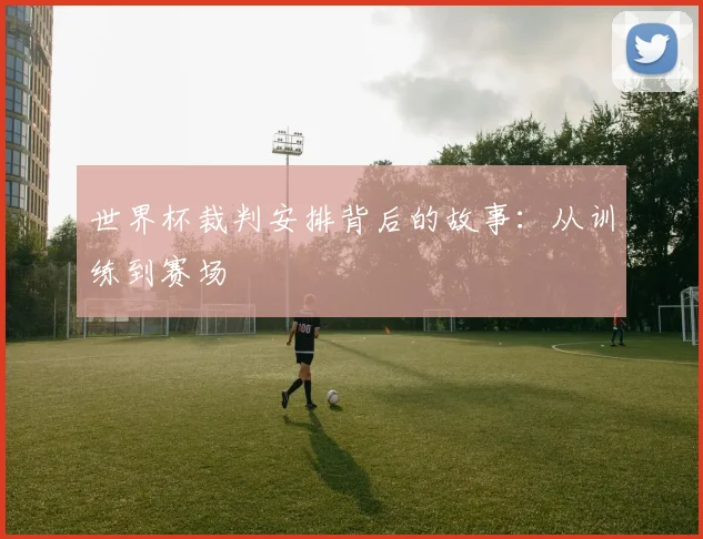 世界杯裁判安排背后的故事：从训练到赛场