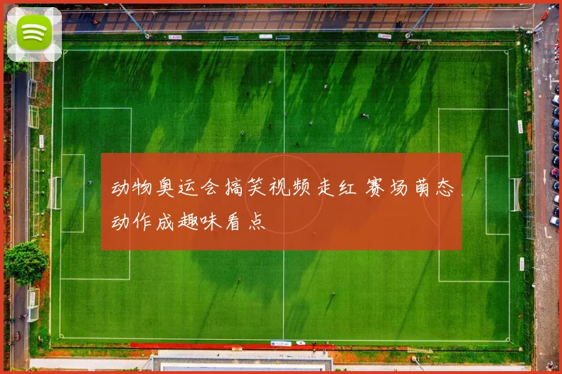 动物奥运会搞笑视频走红 赛场萌态动作成趣味看点